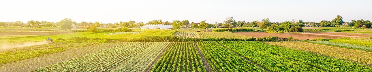 &#x20;&#x20;sei&#x20;una azienda&#x20;agricola&#x20;e&#x20;forestale&#x3F;