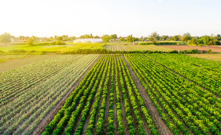 azienda agricola