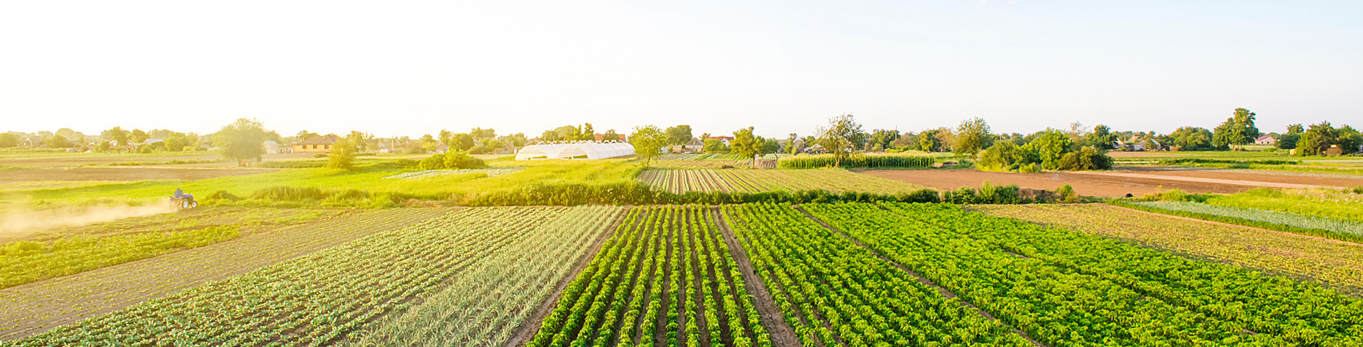 per chi lavoriamo - aziende agricole